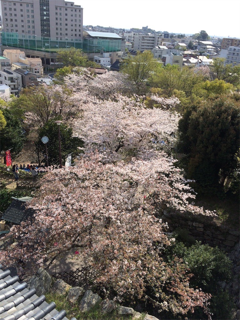 f:id:kyoro99:20160411085937j:image f:id:kyoro99:20160411085937j:image