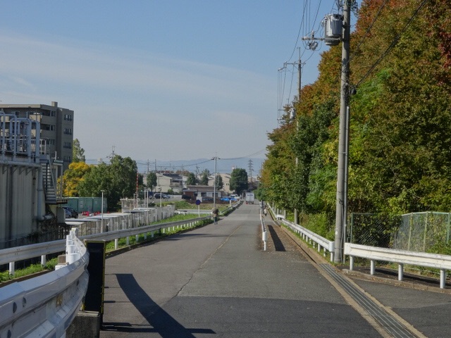 f:id:kyotokoteisa:20141109205833j:plain f:id:kyotokoteisa:20141109205833j:plain