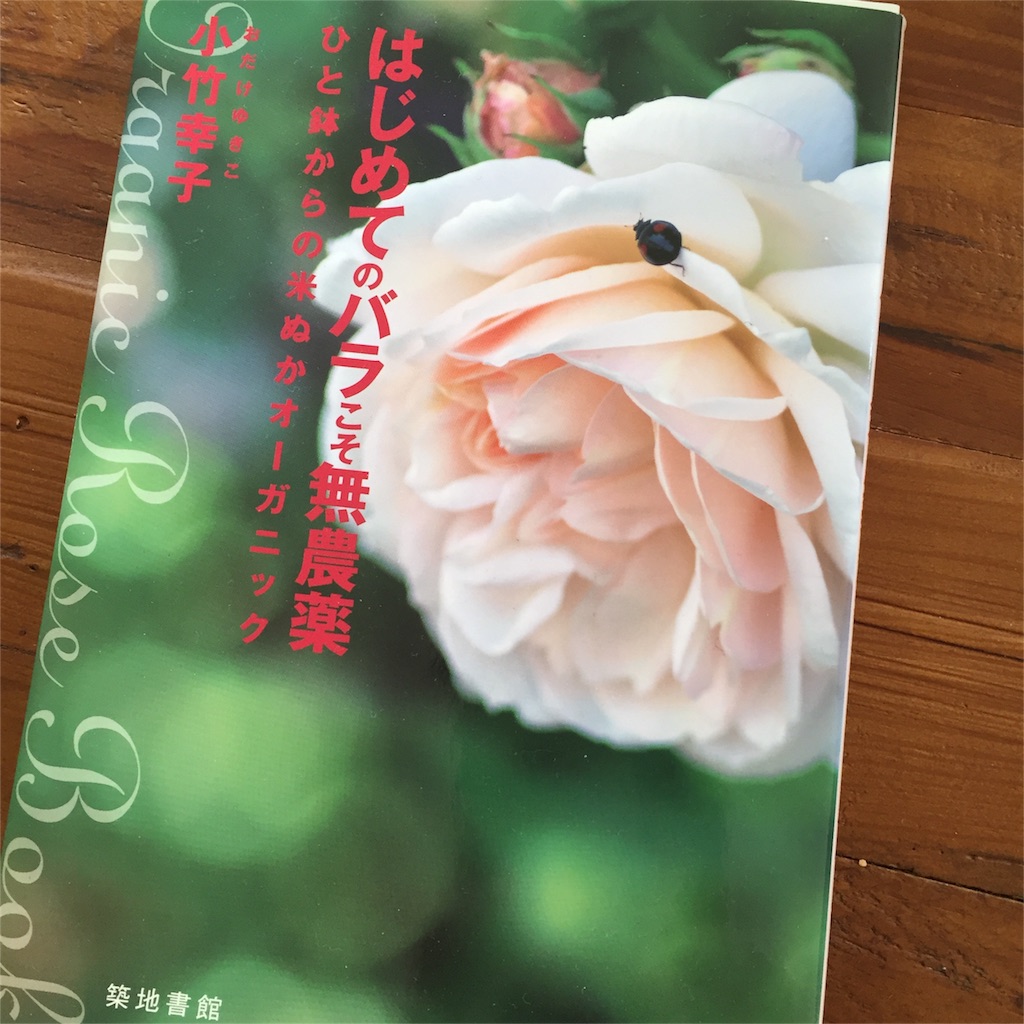 f:id:kyou-mo-iihi:20160211101322j:image f:id:kyou-mo-iihi:20160211101322j:image