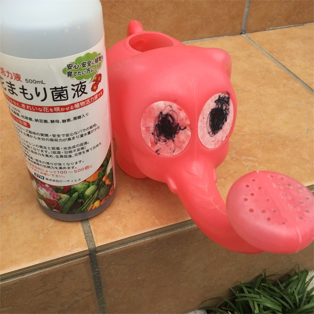f:id:kyou-mo-iihi:20160321174053j:image f:id:kyou-mo-iihi:20160321174053j:image