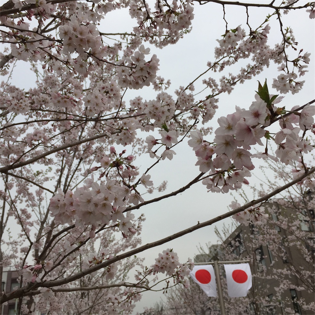 f:id:kyou-mo-iihi:20160401165520j:image f:id:kyou-mo-iihi:20160401165520j:image