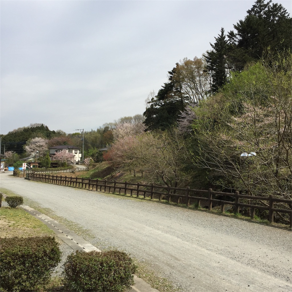 f:id:kyou-mo-iihi:20160411172959j:image f:id:kyou-mo-iihi:20160411172959j:image