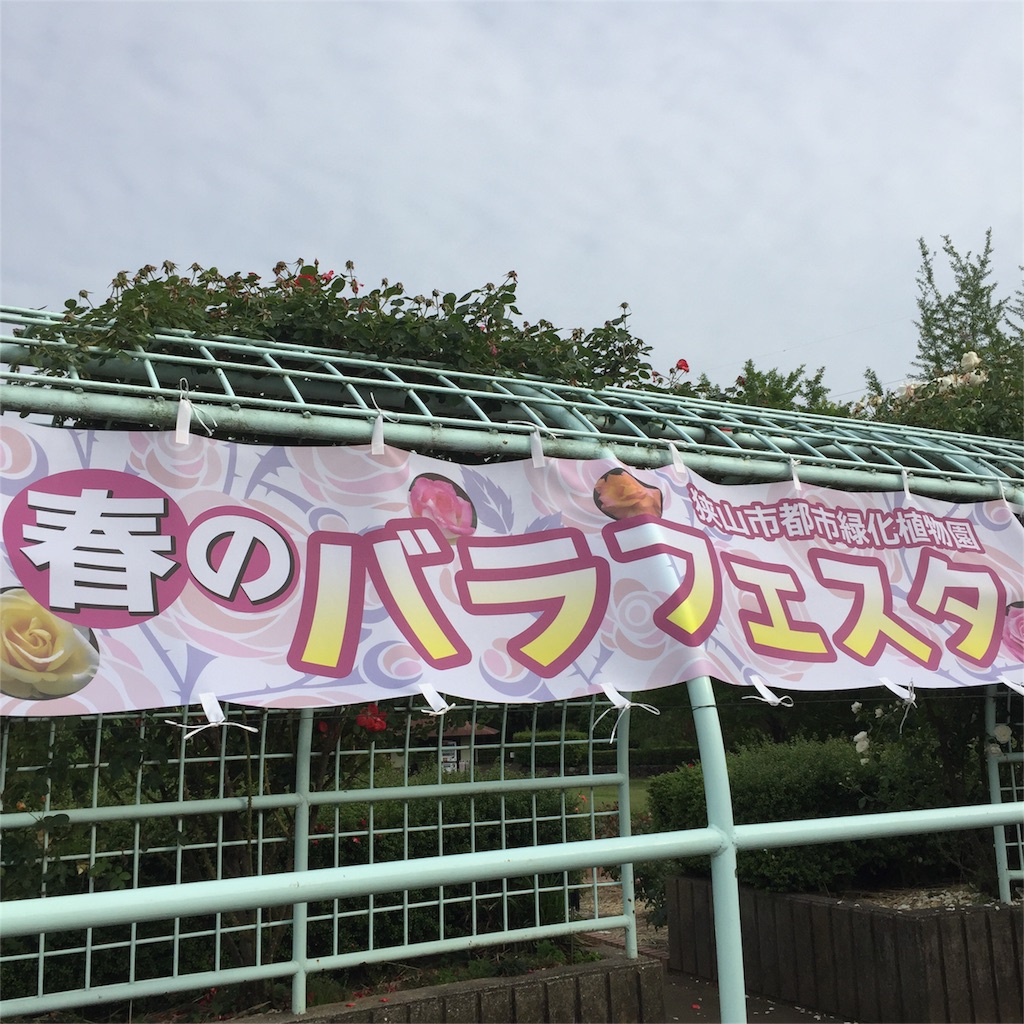 f:id:kyou-mo-iihi:20160521110749j:image f:id:kyou-mo-iihi:20160521110749j:image
