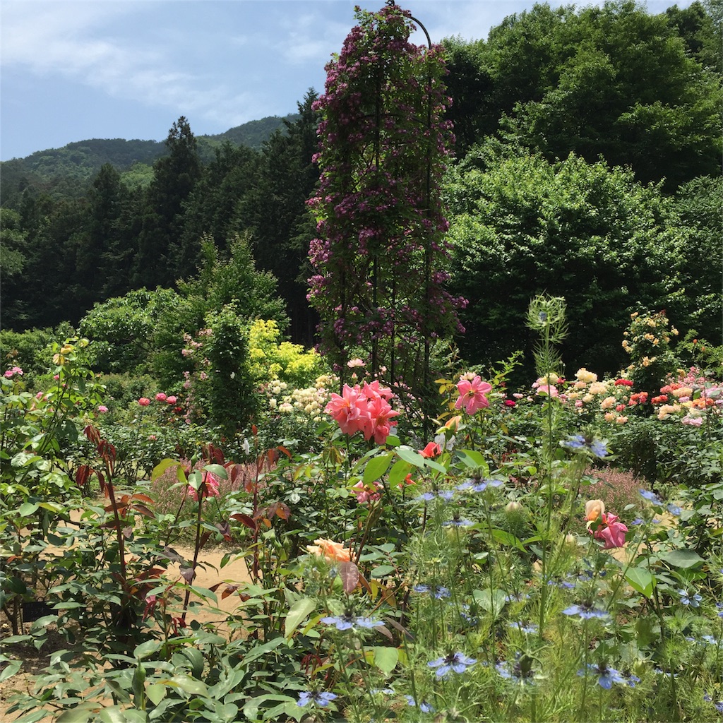 f:id:kyou-mo-iihi:20160530162453j:image f:id:kyou-mo-iihi:20160530162453j:image
