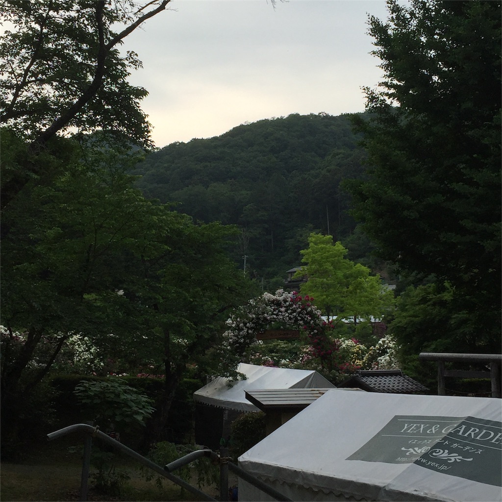 f:id:kyou-mo-iihi:20160601171711j:image f:id:kyou-mo-iihi:20160601171711j:image