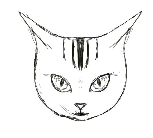 f:id:kyukyunyorituryo:20150201233252j:plain f:id:kyukyunyorituryo:20150201233252j:plain