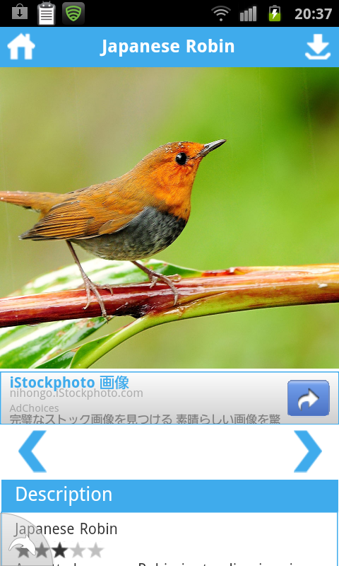f:id:kyuruppa:20120826204026p:plain f:id:kyuruppa:20120826204026p:plain