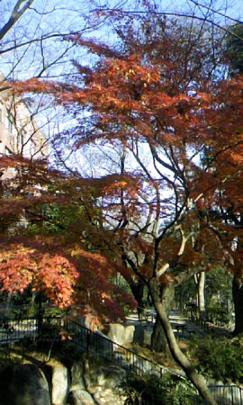 f:id:kz1979:20081221113024j:image f:id:kz1979:20081221113024j:image