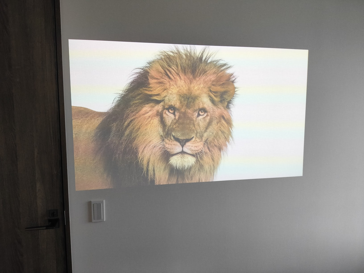 f:id:lacucaracha:20201129145338p:plain