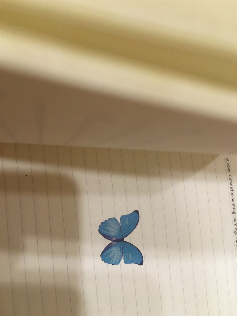 f:id:ladybird_eye:20160426213308j:image f:id:ladybird_eye:20160426213308j:image