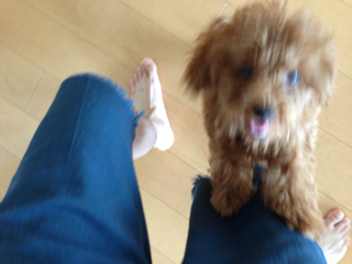f:id:lalala11:20130601143928j:plain f:id:lalala11:20130601143928j:plain
