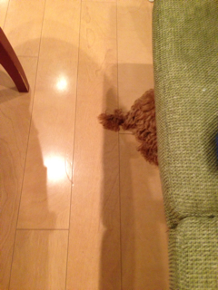 f:id:lalala11:20130615220618j:plain f:id:lalala11:20130615220618j:plain