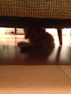 f:id:lalala11:20130615220719j:plain f:id:lalala11:20130615220719j:plain