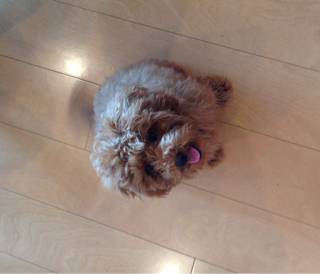 f:id:lalala11:20130622152500j:plain f:id:lalala11:20130622152500j:plain