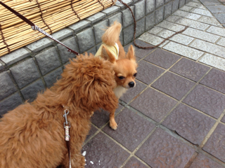 f:id:lalala11:20130623135355j:plain f:id:lalala11:20130623135355j:plain