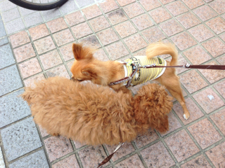 f:id:lalala11:20130623135641j:plain f:id:lalala11:20130623135641j:plain