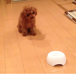 f:id:lalala11:20130623233618j:plain f:id:lalala11:20130623233618j:plain