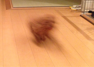 f:id:lalala11:20130625203729j:plain f:id:lalala11:20130625203729j:plain