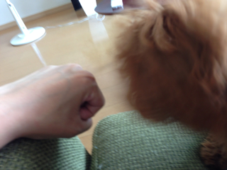 f:id:lalala11:20130706125207j:plain f:id:lalala11:20130706125207j:plain