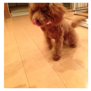 f:id:lalala11:20130707224233j:plain f:id:lalala11:20130707224233j:plain
