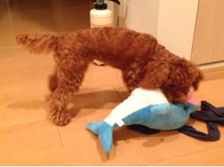 f:id:lalala11:20130719010953j:plain f:id:lalala11:20130719010953j:plain