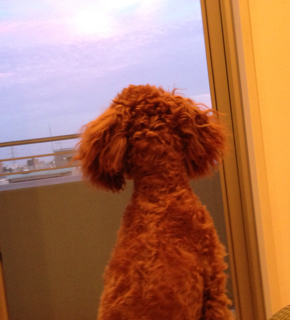 f:id:lalala11:20130720192610j:plain f:id:lalala11:20130720192610j:plain