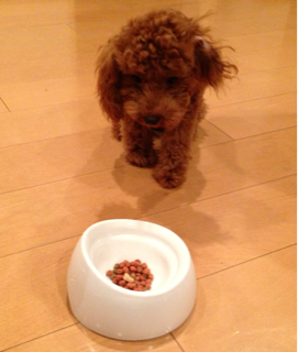 f:id:lalala11:20130720215507j:plain f:id:lalala11:20130720215507j:plain
