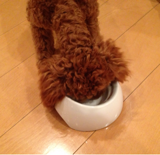 f:id:lalala11:20130720215553j:plain f:id:lalala11:20130720215553j:plain