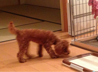 f:id:lalala11:20130721004421j:plain f:id:lalala11:20130721004421j:plain