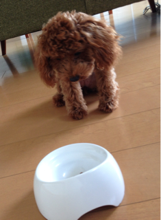 f:id:lalala11:20130721104014j:plain f:id:lalala11:20130721104014j:plain