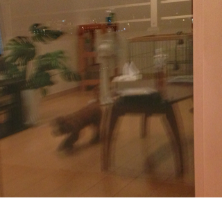 f:id:lalala11:20130727211648j:plain f:id:lalala11:20130727211648j:plain