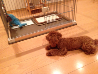 f:id:lalala11:20130803015858j:plain f:id:lalala11:20130803015858j:plain