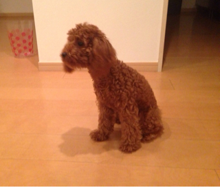 f:id:lalala11:20130810234644j:plain f:id:lalala11:20130810234644j:plain