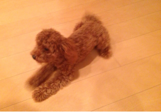 f:id:lalala11:20130810234658j:plain f:id:lalala11:20130810234658j:plain