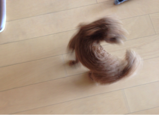 f:id:lalala11:20130814192536j:plain f:id:lalala11:20130814192536j:plain