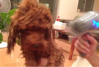 f:id:lalala11:20130818145151j:plain f:id:lalala11:20130818145151j:plain