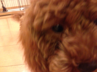 f:id:lalala11:20130818230342j:plain f:id:lalala11:20130818230342j:plain
