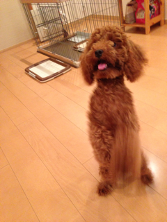 f:id:lalala11:20130823080853j:plain f:id:lalala11:20130823080853j:plain