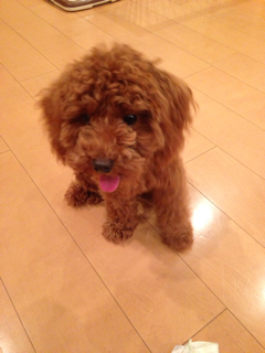 f:id:lalala11:20130823081136j:plain f:id:lalala11:20130823081136j:plain