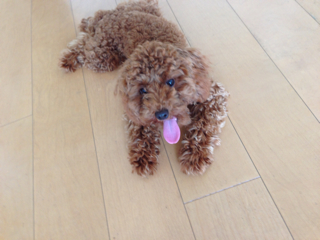 f:id:lalala11:20130824133817j:plain f:id:lalala11:20130824133817j:plain