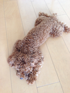 f:id:lalala11:20130824134017j:plain f:id:lalala11:20130824134017j:plain