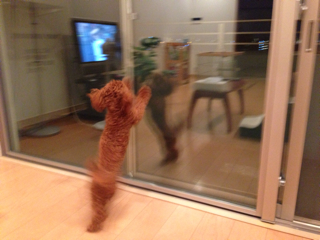 f:id:lalala11:20130825185148j:plain f:id:lalala11:20130825185148j:plain