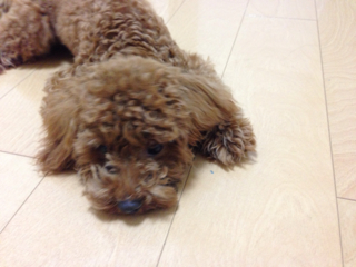 f:id:lalala11:20130828004052j:plain f:id:lalala11:20130828004052j:plain