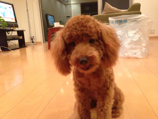 f:id:lalala11:20130902000129j:plain f:id:lalala11:20130902000129j:plain