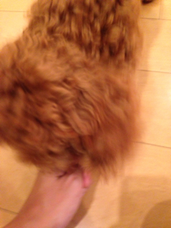 f:id:lalala11:20130906210300j:plain f:id:lalala11:20130906210300j:plain