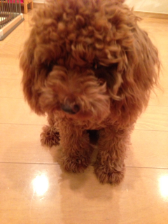 f:id:lalala11:20130906210548j:plain f:id:lalala11:20130906210548j:plain