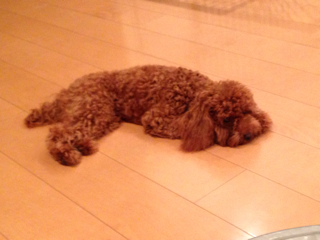 f:id:lalala11:20130909225344j:plain f:id:lalala11:20130909225344j:plain