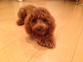 f:id:lalala11:20130911001623j:plain f:id:lalala11:20130911001623j:plain