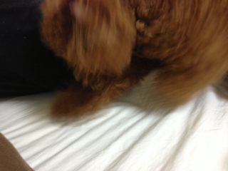 f:id:lalala11:20130914193906j:plain f:id:lalala11:20130914193906j:plain