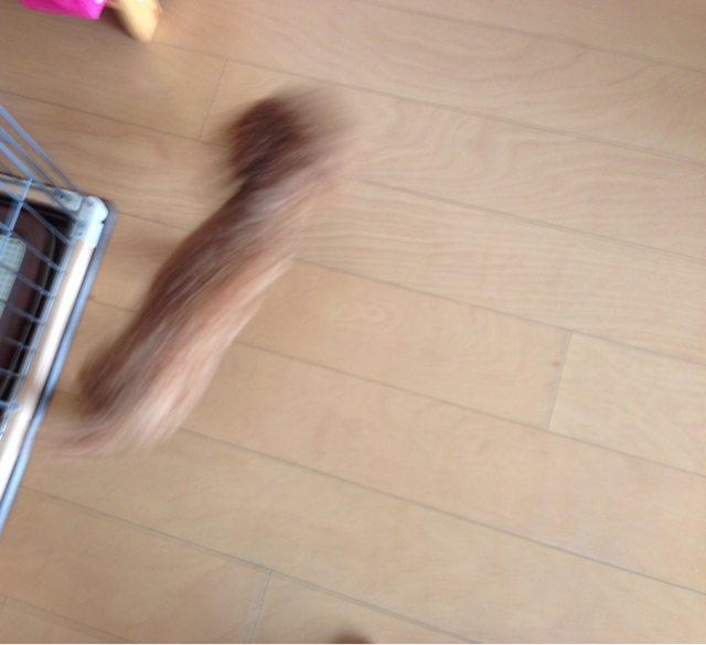 f:id:lalala11:20130923231904j:plain f:id:lalala11:20130923231904j:plain